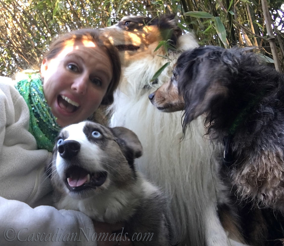 Pet Adventure Blog - Cascadian Nomads